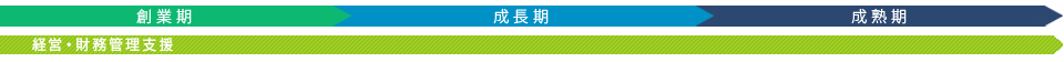 経営・財務管理支援