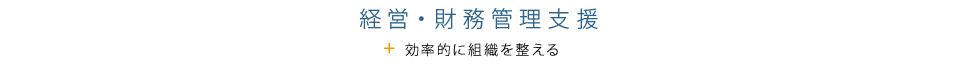経営・財務管理支援