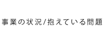 事業の状況/抱えている問題